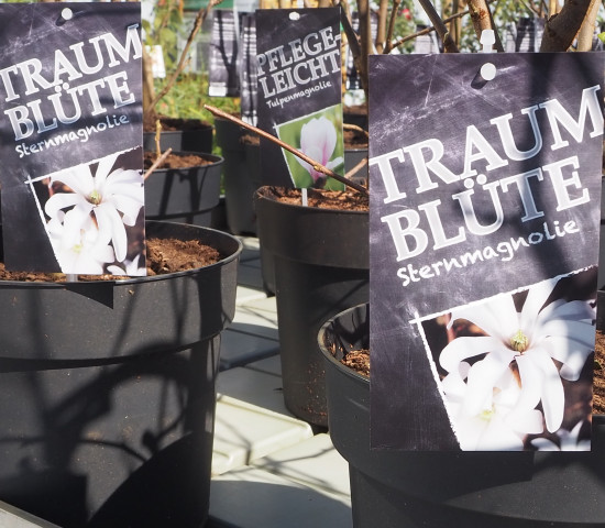 Die neuen Etiketten für Outdoor-Pflanzen stellen den jeweiligen Hauptnutzen einer Pflanzen heraus.