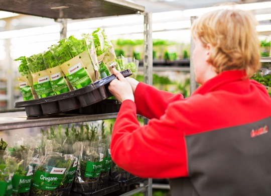 Toom nutzt seit Sommer diesen Jahres das Mehrwegsystem Floritray.&nbsp;