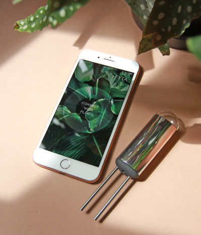 Fyta, Sensor Fyta Beam, App 