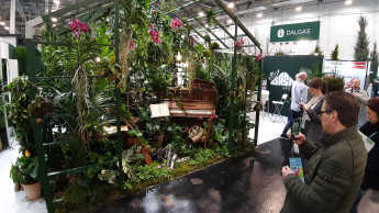 „Kollektiv die Pflanze hochhalten“