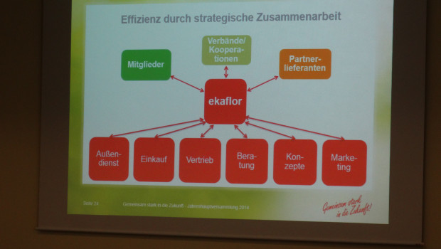 Netzwerk Ekaflor