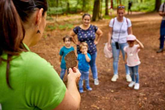 Bauhaus, Walderlebnistage, Experten der SDW