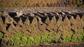 IVG kritisiert Aussagen des Niedersächsischen Umweltministeriums IVG kritisiert Aussagen des Niedersächsischen Umweltministeriums