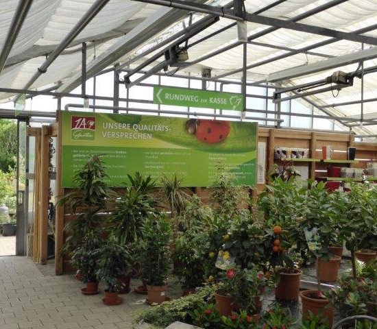 1A Garten Strauß