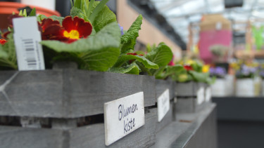 Garten- und Zoofachhandel im ersten Quartal deutlich im Minus