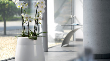 Neue Töpfe braucht das Land.