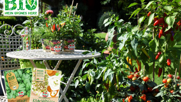 Gesund von Anfang an