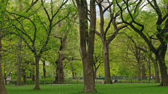 Warum Grün wichtiger ist denn je