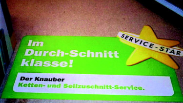 Nicht nur Weihnachtssterne