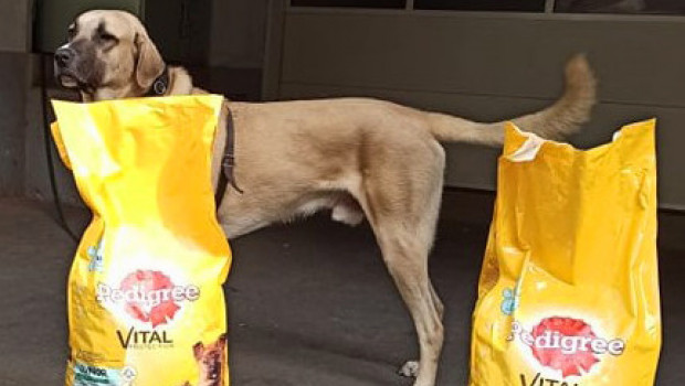 Auch Hansi freut sich über die Futterspende. Auch Hansi freut sich über die Futterspende.