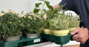 ZVG schließt sich Euro Plant Tray an