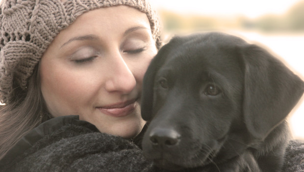 Hunde und Katzen gehören zu den beliebtesten Haustieren.&nbsp;