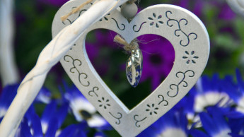 Die Optimisten haben recht