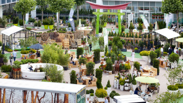 Neustart in Frankfurt