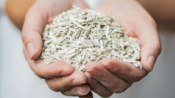 Sollte in keinem Baumarkt fehlen