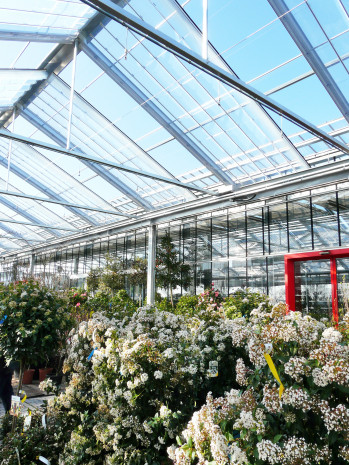 Modulo Azzurro, Rabensteiner