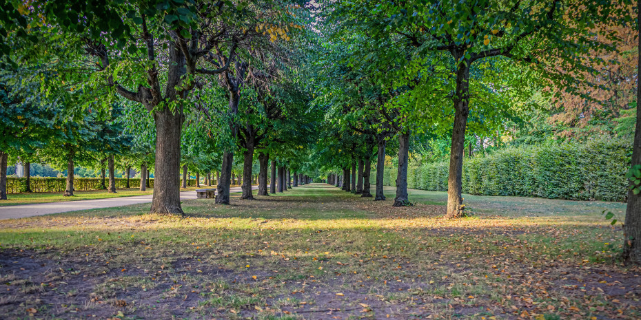 Rund 95 Mio. m² an städtischen Grünflächen sind zwischen 2023 und 2024 verloren gegangen.&nbsp;
