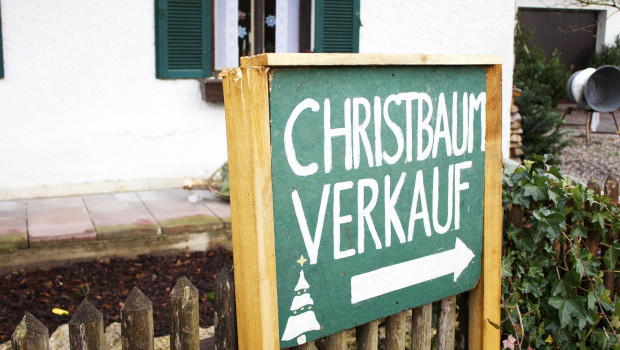 Weihnachten kann kommen: Es gibt genügend Weihnachtsbäume, versichern die Erzeugerverbände. Bild: Pixabay/Hannah Alkadi