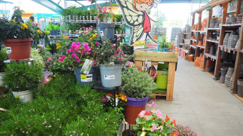 Verbraucherzentrale klagt gegen Hornbach