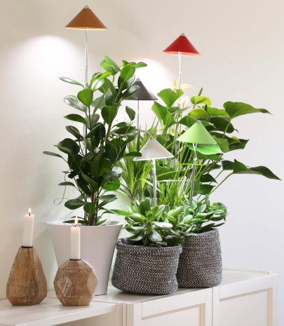 Venso, LED-Pflanzenlampen, Home and Office-Serie