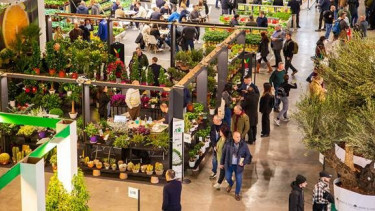 Italien verzeichnet Rekordproduktion im Blumen- und Baumschulsektor