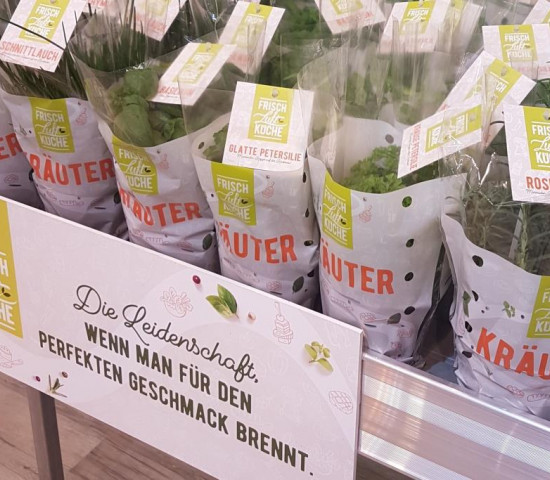 Mit derzeit sechs Kräutern baut die Sagaflor ihre Outdoor-Cooking-Eigenmarke Frischluftküche aus.
Mit derzeit sechs Kräutern baut die Sagaflor ihre Outdoor-Cooking-Eigenmarke Frischluftküche aus.