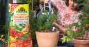 Biostrom contra Blumenerde