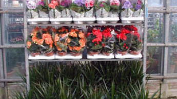 Saisonaktuelles Grün bei der ZEUS