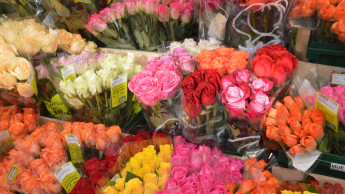 Valentin bringt dem Handel eine Milliarde zusätzlich Valentin bringt dem Handel eine Milliarde zusätzlich