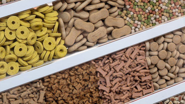 Die Interzoo gibt es in diesem Jahr als Online-Veranstaltung.&nbsp;