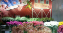 Die Floradecora wird verlängert und verlegt