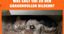 Abschied vom Verkauf von Kleintieren