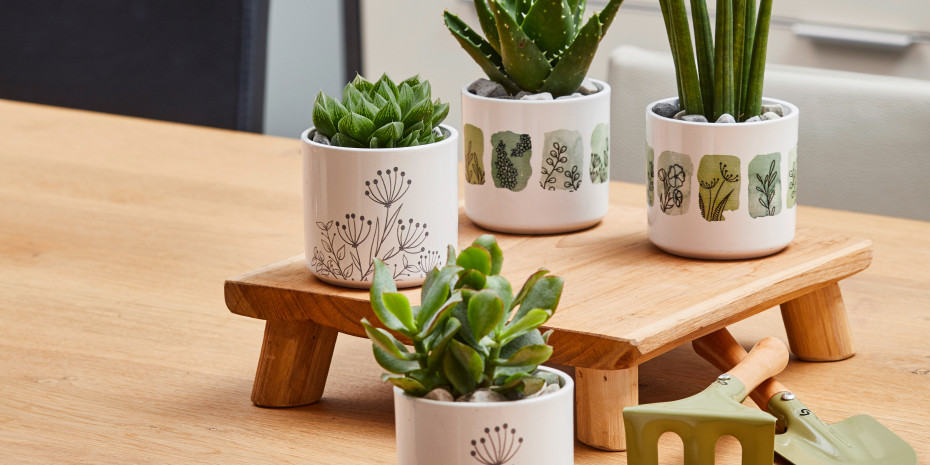 Mit „Country Life“ zieht die Ländlichkeit in die &nbsp;Wohnung ein.