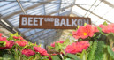 Gesamtmarkt für Blumen und Pflanzen wächst 2018 um ein Prozent
