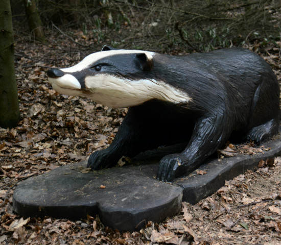 ... ein Dachs wegen seines guten Geruchssinns...