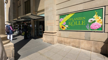 Pflanzen-Kölle eröffnet Innenstadtkonzept