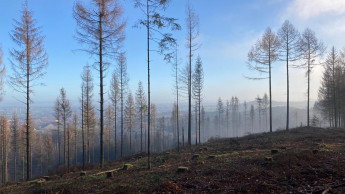 EK spendet an Baumpflanz-Projekt EK spendet an Baumpflanz-Projekt