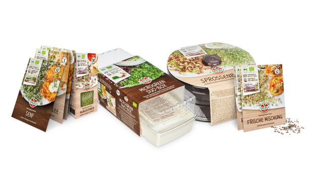 Sperli, Keimlinge, Anzuchtgefäße