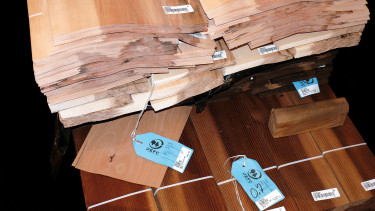 Hagebau bietet FSC/PEFC-Zertifizierung