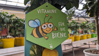 IVG unterstützt die Initiative „Bienen füttern!“