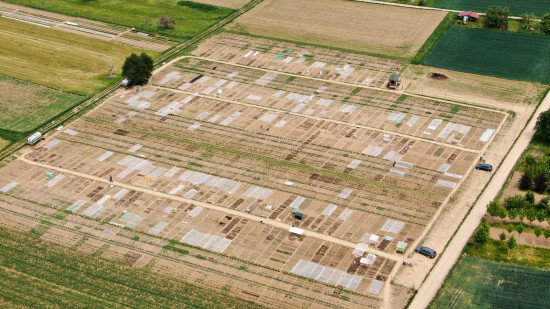 Der Sommer kann kommen: Die Mietgärten werden von Land­wirten in der Nähe großer Städte vorbereitet.