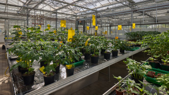 Wachstum mit Verantwortung Wachstum mit Verantwortung