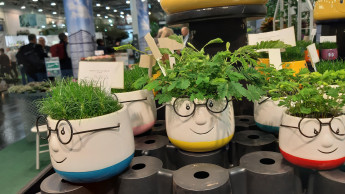 IPM-Besucherzahlen auf Vorjahresniveau