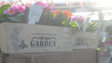 Gartenmarkt wächst insgesamt um 10,2 Prozent