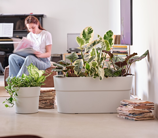 &nbsp;Andromeda und Sirio Pflanzgefäße für den Innen- und Außenbereich.&nbsp;