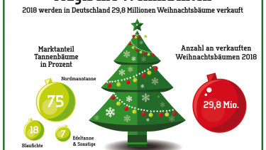 Deutsche kaufen dieses Jahr 29,8 Millionen Weihnachtsbäume