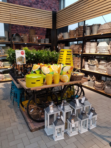 Die Präsentation im "Oldenburger Wohngarten" verbindet Hartware mit der Pflanze.