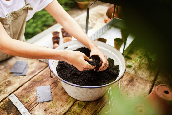 Jüngere Gärtner haben vermehrt Spaß daran, Pflanzen selbst zu ziehen.&nbsp;