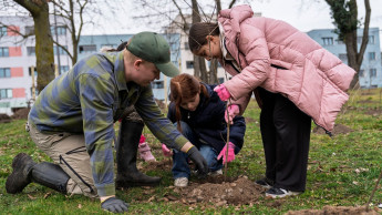 Bauhaus zieht positive Bilanz aus Baumpflanzungen