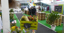 Die Fachmesse Gardiente ist ausgebucht